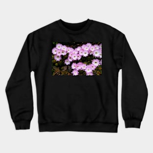 Brightness in the Rain Crewneck Sweatshirt